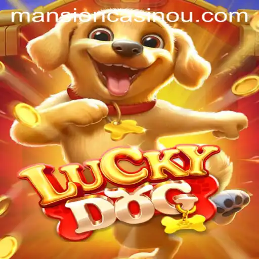 Discover the Exciting World of LuckyDog: A Thrilling Gaming Experience